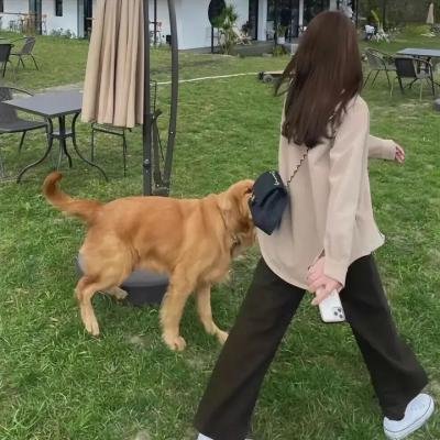 缠绕之路